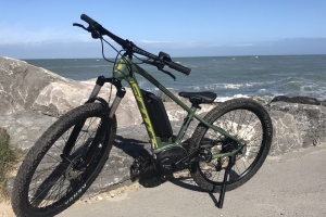SCOTT ROXTER E-Ride 26"